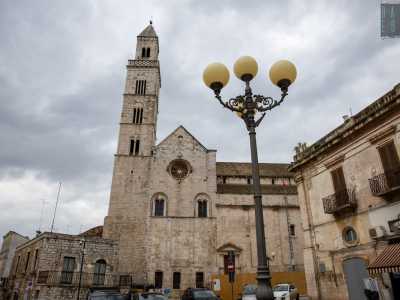 Dalla nostra posizione � possibile vedere il campanile, alto 49 metri, simpaticamente chiamato dai palesi �u spi�un� perch� dalla sua sommit� �spia� tutto il paese e il territorio circostante